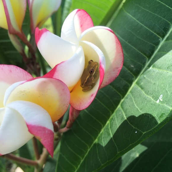 Meet your Posher, Gina - Picture 11 of 13